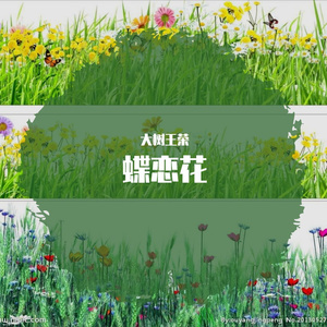 蝶恋花