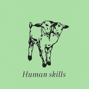 Human Skills