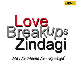 Love Breakups Zindagi (May Se Meena Se Remix)