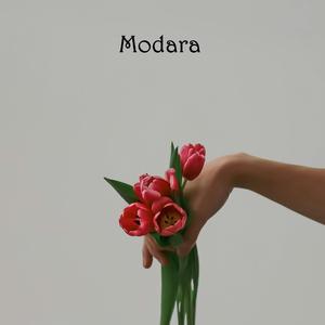 Modara