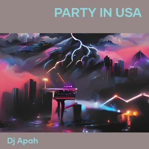 Party in Usa