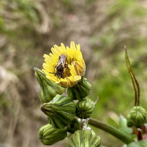 脚下是泥泞 抬头是繁星 身边是你