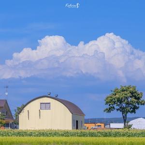 当爱在靠近（翻刘若英）