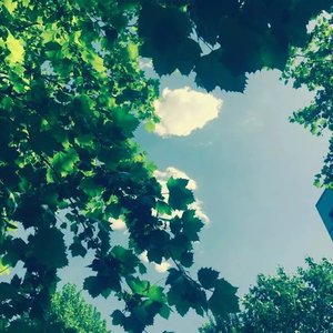 小幸运河北科技大学版（翻自 田馥甄）