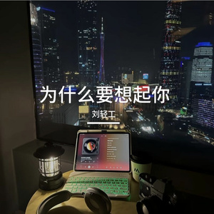 为什么要想起你