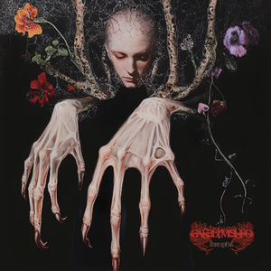 Свет в конце дискотеки