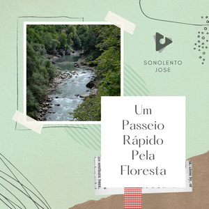 Sons de pássaros no verão