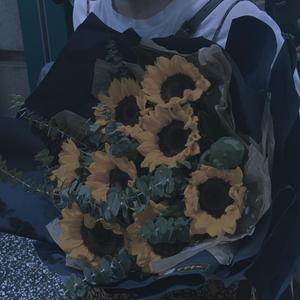 关于郑州的记忆（翻自 群星）