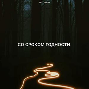 Со сроком годности