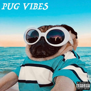 PUG VIBES