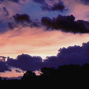 The best rescue( Prod.Lion_Z狮子)