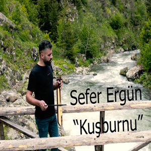 Kuşburnu