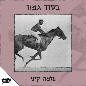 שתיים דובים