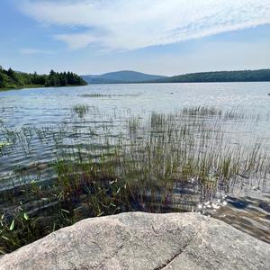 Deliberately (23.07.17.14.48)