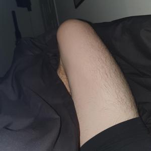 bibabu