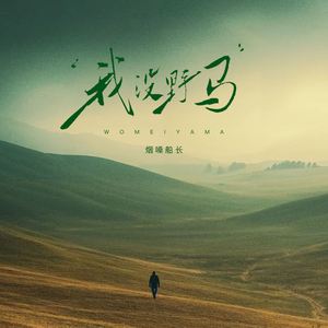 我没野马