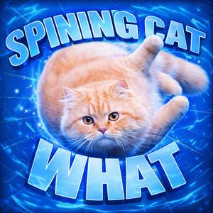 spining cat what