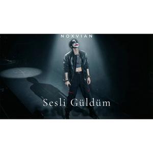 Sesli Güldüm
