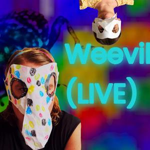 Weevil (LIVE) (feat. Evy)