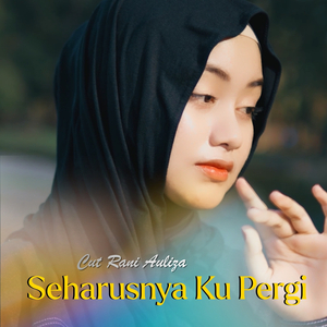 Seharusnya Ku Pergi (Acoustic)