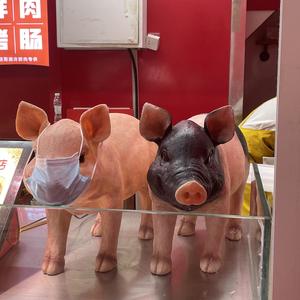 海阔天空电吉他