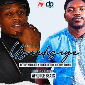 Usandisiye (feat. Donny Pound & BhuguHerry)