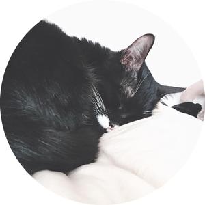 Eiro Nareth-shape of my heart （人衣林夕 remix）