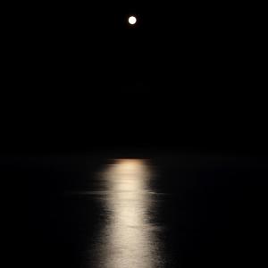 neon light（prod.wondaboi）