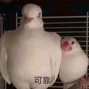 成都-成都
