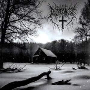 Cicatrizes Que o Dia Não Apagou