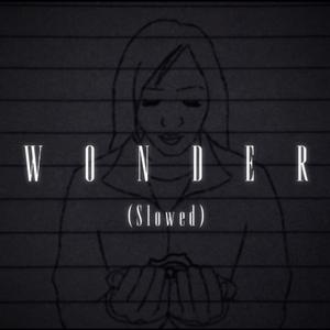 Wonder (Slowed)