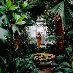 Все лузеры попадают в рай