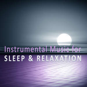 Violin Sonata in G Major, BWV 1021 I. Adagio (Flute Harp Version)