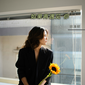 如果再遇见你