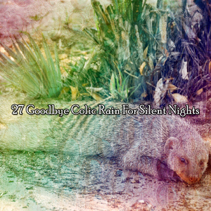 周到的倾盆大雨