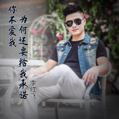 你不爱我为何还要给我承诺 (DJ版)