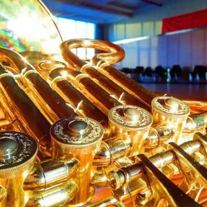 野蜂飞舞 ——圆号重奏（海旭改编）