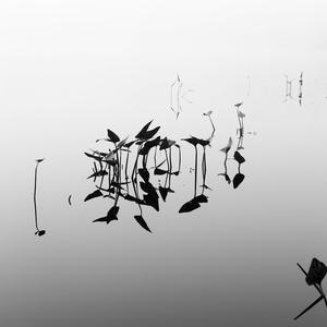 OUTRO (SORRY FOR YOUR TIME LOSS)