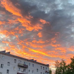 Картонка