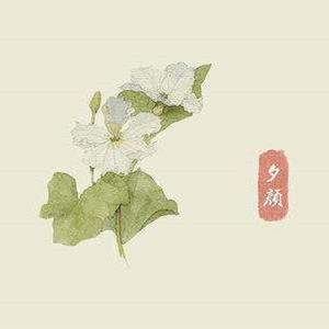 夕颜（钢琴曲）