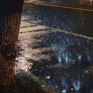 心泪雨