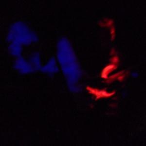 Apocalypsis Cardiaca