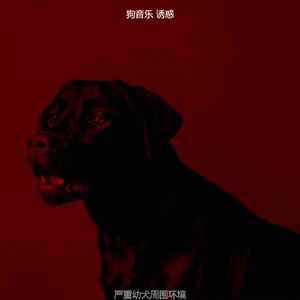 抚慰的小狗回忆