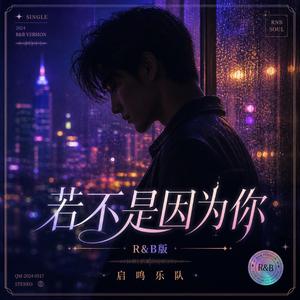 若不是因为你(R&B版)