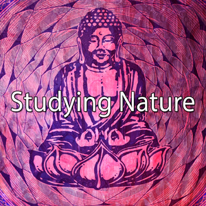 Rain On A Hot Tin Roof