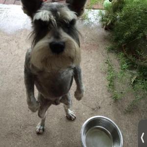 Quickdraw (feat. Fordy)