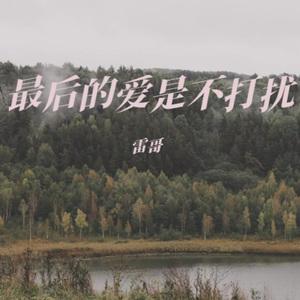 最后的爱是不打扰