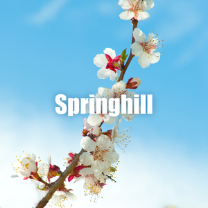 Springhill