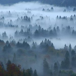 你身上洒满宇宙星光