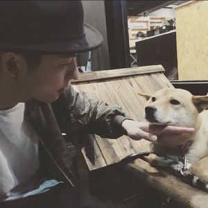 还你茉莉(Cover:单依纯)